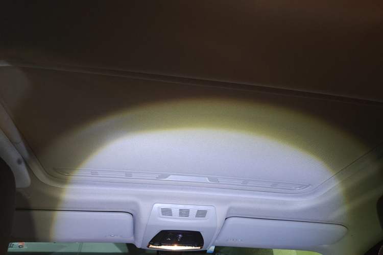 Used BMW X4 2014 xDrive20i X Design Package Headliner