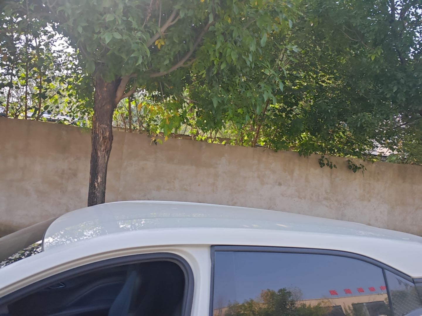 BYD Seagull 2025 Smart Drive Version 305 km Freedom Edition — снимка 7