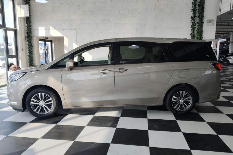 Used Buick GL8 2022 ES Landtrek 653T Luxury Edition
