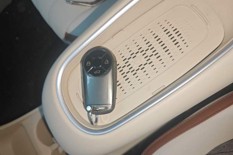 Used ORA Good Cat 2024 501 km Luxury Version
