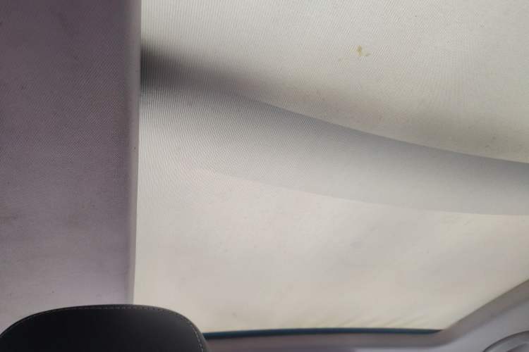 Used Skoda Karoq 2018 TSI280 Luxury Edition China V Standard Headliner