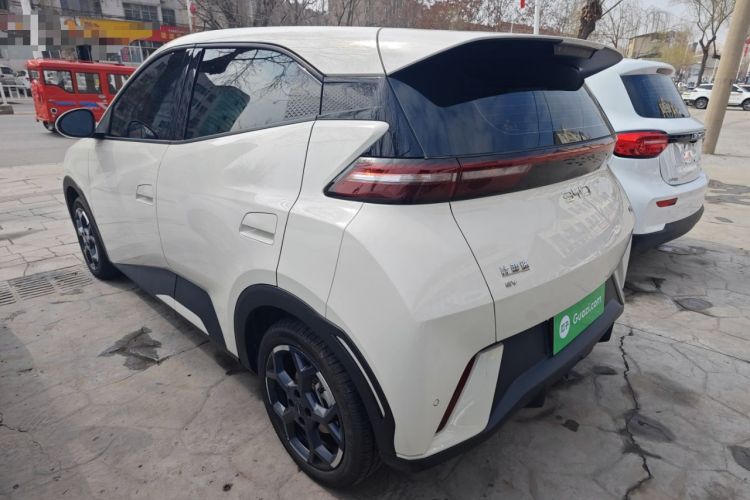 Used BYD Seagull 2025 305 km Free Version
