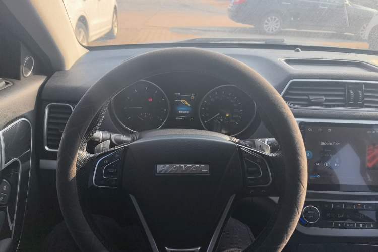 Used Haval H6 Coupe 2016 Blue Label 1.5T Automatic Two-Wheel Drive Elite Model