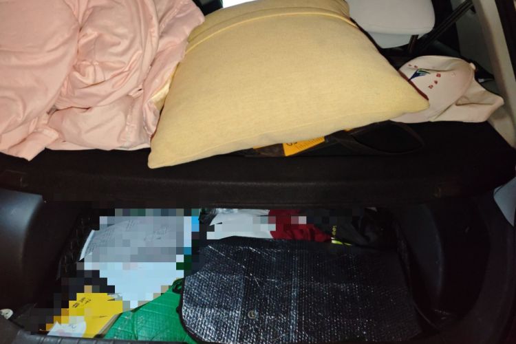 Used JAC Yiwei 3 2023 505km Pro