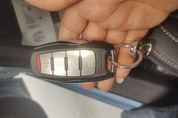 Used ORA Black Cat 2019 301km Standard Edition
