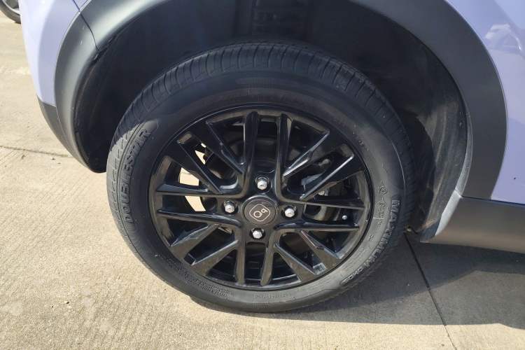 Used Chery Little Ant 2024 Facelifted 321km Beloved Edition