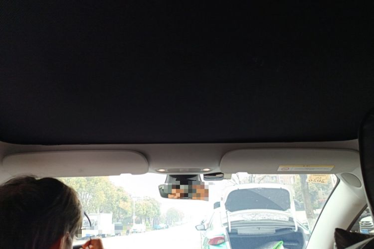 Used Tesla Model 3 2022 Performance High-Performance All-Wheel-Drive Version Headliner