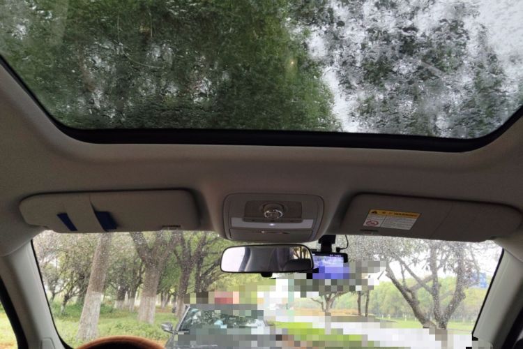 Used Roewe RX5 2020 20T Automatic 4G Connect Superior Flagship Edition Headliner