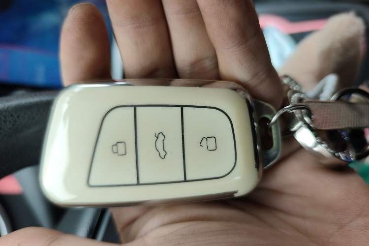 Used Chery QQ Little Ant 2019 4-Seater Smart Edition 30.6 kWh
