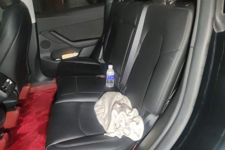 Used Tesla Model Y 2023 Rear-Wheel-Drive Version Left Rear Seat