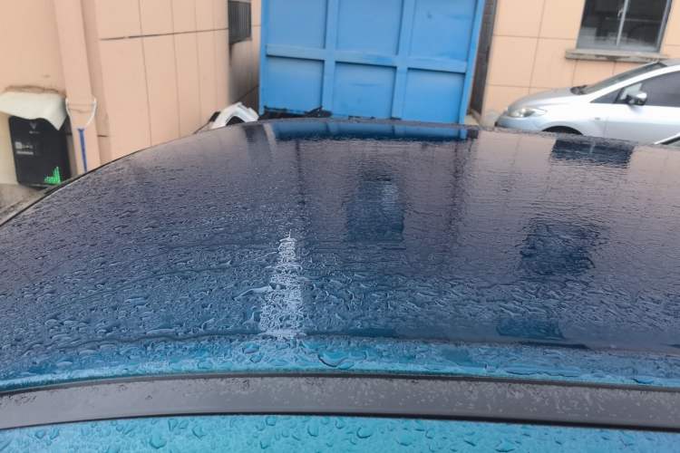 Used ORA Good Cat 2023 401 km Standard Range Luxury Version Lithium Iron Phosphate