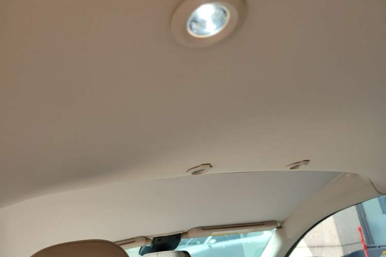 Used XPeng G3 2020 520 Smart Edition Headliner