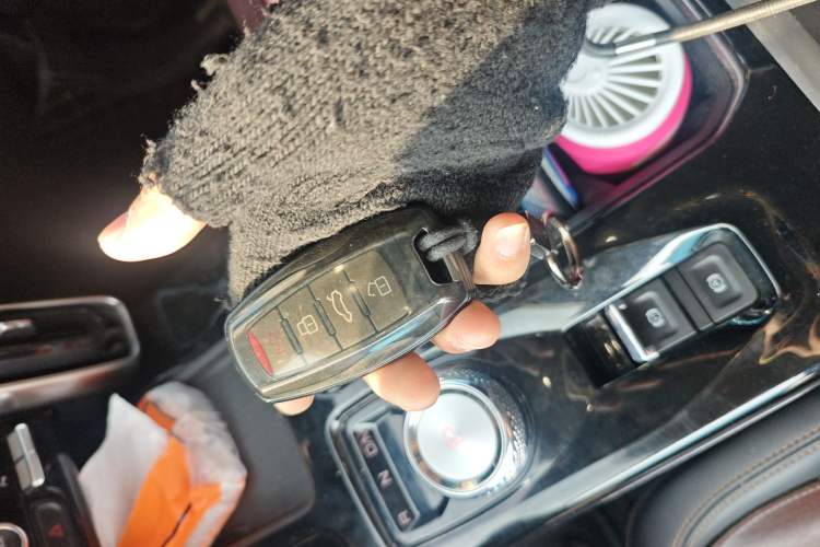 Used Haval DARGO 2022 1.5T DCT Two-Wheel Drive Border Collie Edition
