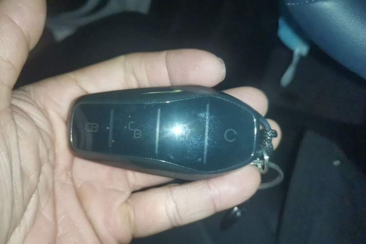 Used BYD Seal 06 New Energy 2025 DM-i Smart Drive 80KM Luxury Model Vehicle Key