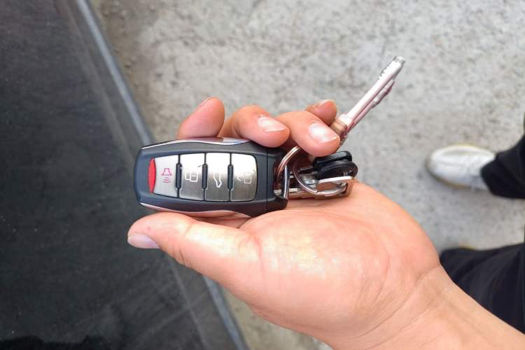 Used Haval DARGO 2024 1.5T DCT Border Collie Edition