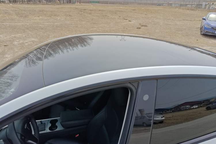 Used Tesla Model Y 2022 Rear-Wheel-Drive Version
