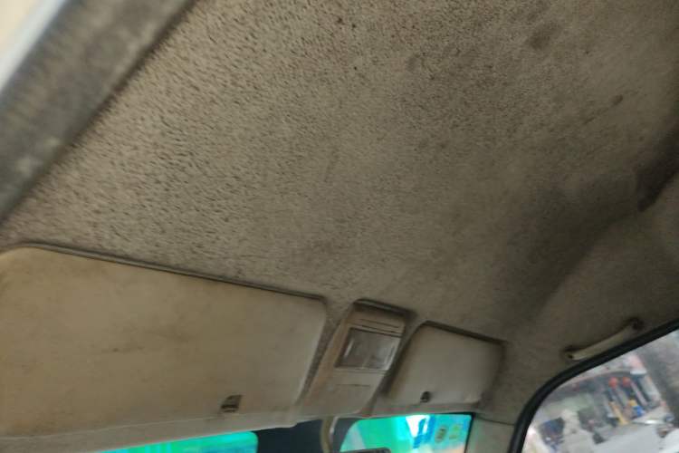 Used Farizon E5 2019 Closed-Body Cargo Van
