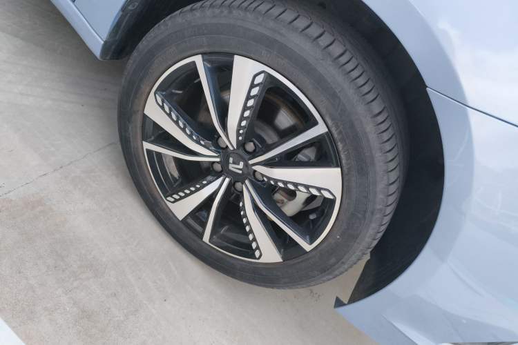 Used Rising ER6 2021 New Dynamic Edition 620km Smart Enjoyment Version