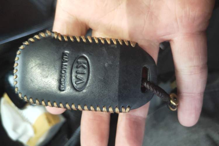 Used Kia Sportage R 2019 2.0L Automatic Smart Luxury Edition