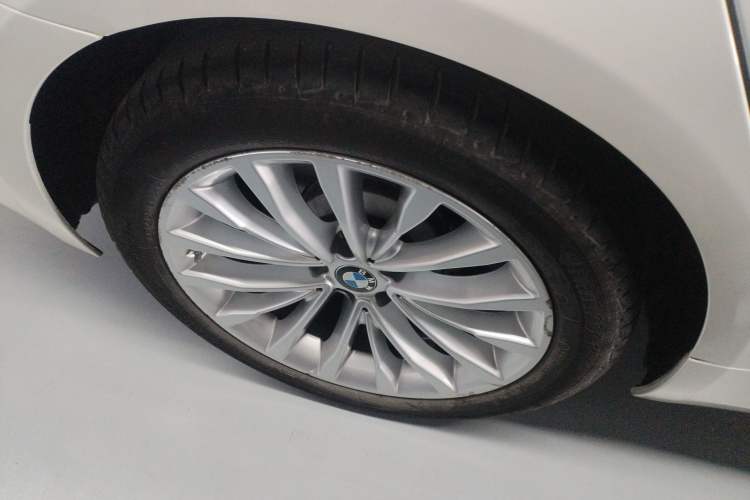 Used BMW 5 Series 2021 525Li Luxury Package Exterior 5