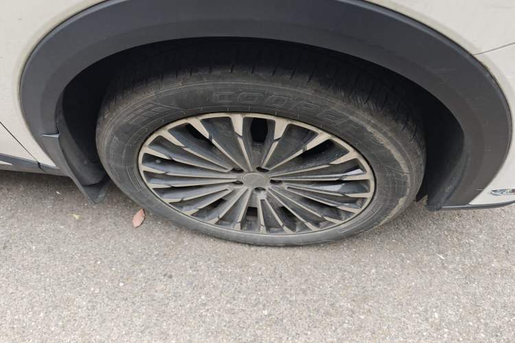 Used EXEED Stellar 2023 400T Two-Wheel Drive Comfort Flyfish Edition