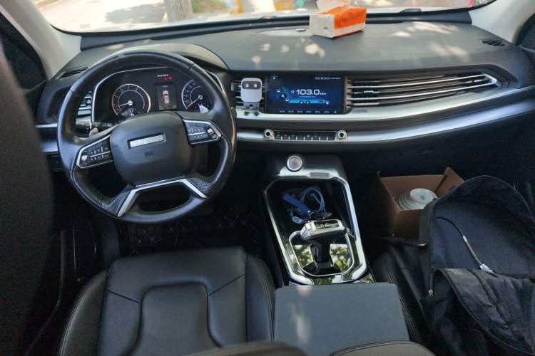 Used Haval H6 2017 Red Label 2.0T Automatic Two-Wheel Drive ZhiShang Model