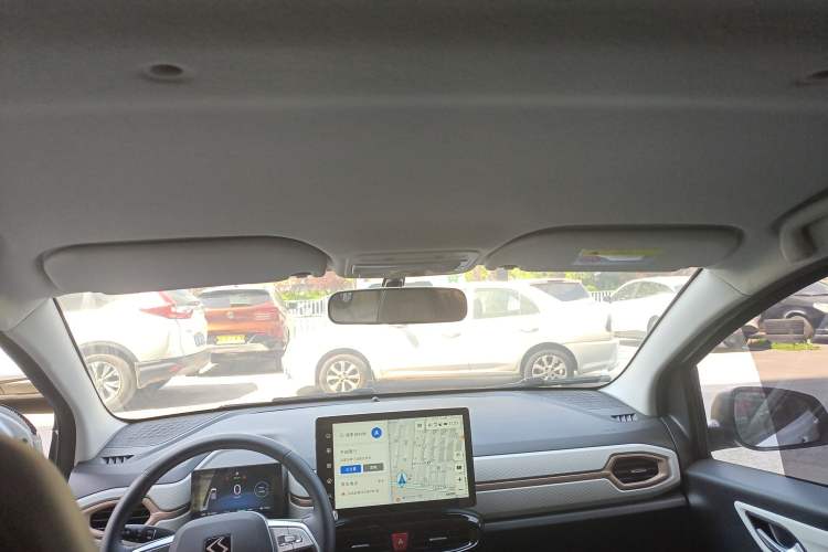 Used SOL E10X 2022 Flower Fairy Style Baby's Breath
