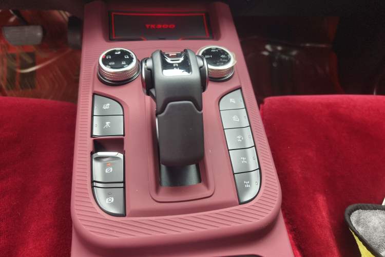 Used Tank 300 2021 Off-Road Edition 2.0T Conqueror
