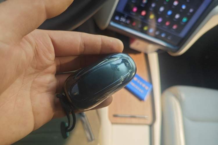 Used Tesla Model X 2019 Long-Range Version