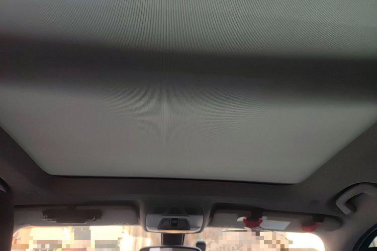 Used BMW X1 2019 sDrive18Li Fashion Model Headliner