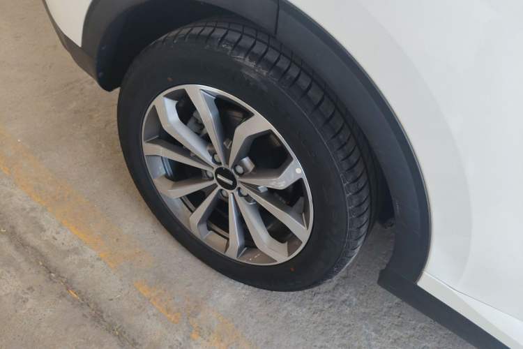 Used Wey VV6 2020 2.0T Two-Wheel Drive Smart Protection+