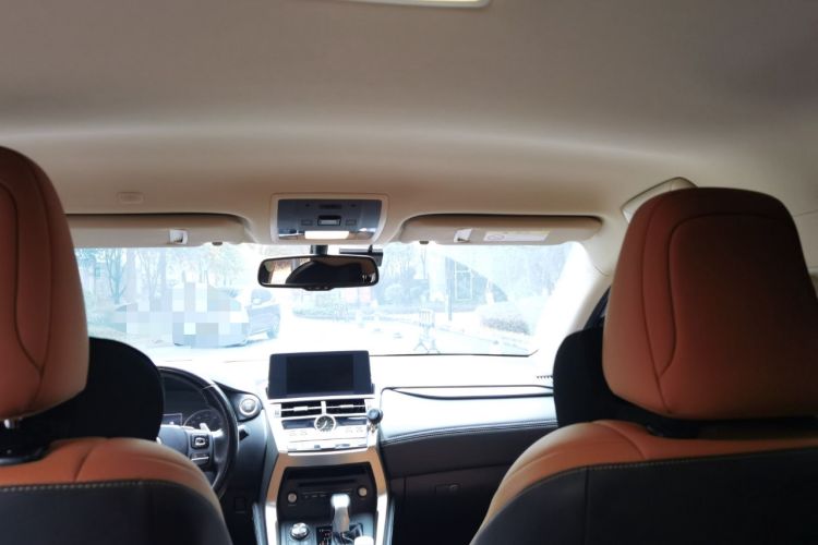 Used Lexus NX 2020 300 Front-Wheel-Drive Frenza Edition China V Standard
