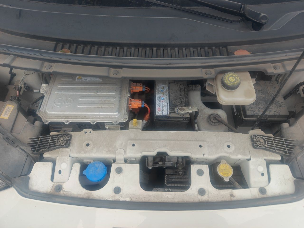 BYD Seagull 2023 Free Edition — снимка 17