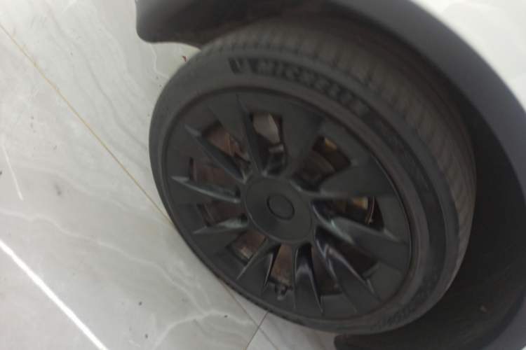 Used Tesla Model Y 2021 Long-Range All-Wheel-Drive Version