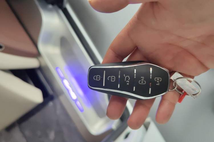 Used BYD Xia 2025 DM-i 1.5T 180km Beyond Edition