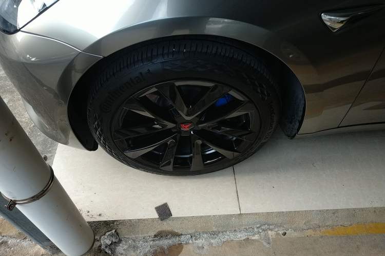 Used Tesla Model 3 (Import) 2019 Standard Range Rear-Wheel Drive Upgraded Version (52 kWh)