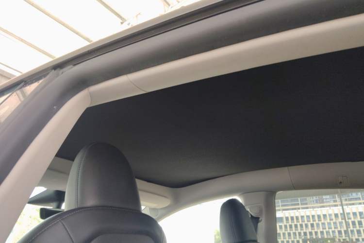 Used Tesla Model Y 2022 Rear-Wheel-Drive Version