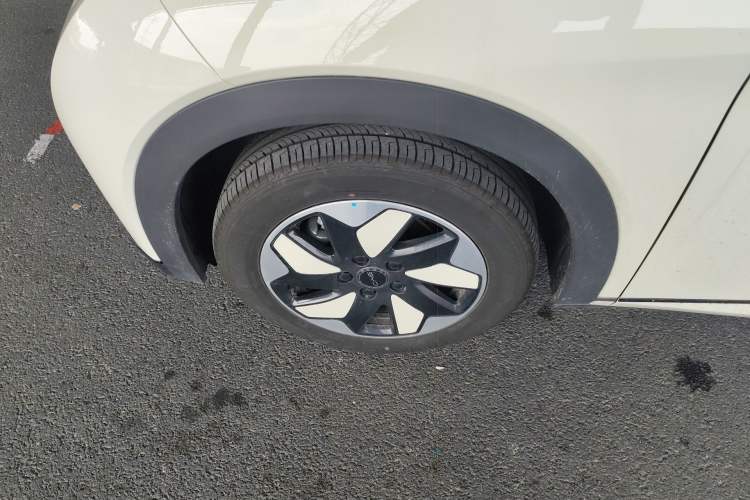 Used BYD Dolphin 2025 420km Free Edition
