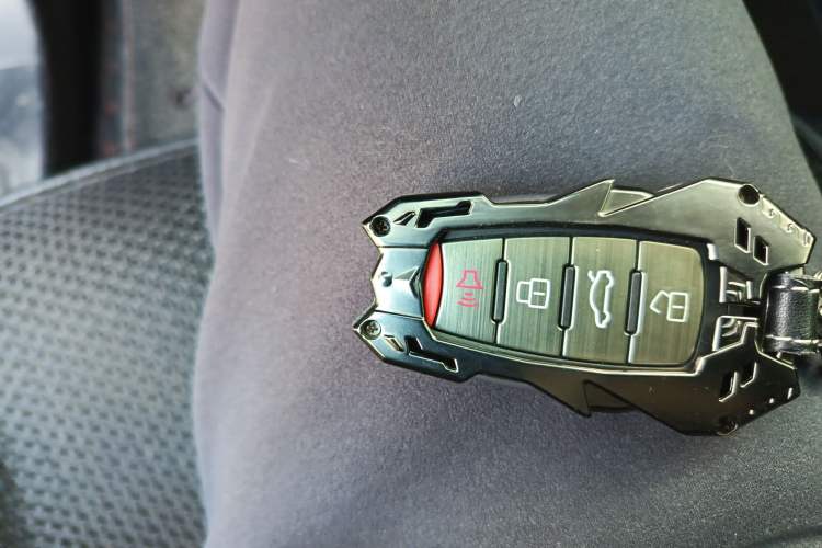 Used Haval DARGO 2021 2.0T DCT 4x4 Chinese Rural Dog Edition