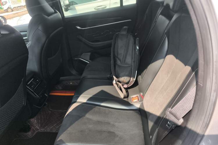 Used Geely Auto Monjaro L 2024 2.0TD High-Power Automatic Two-Wheel Drive Skyline Edition
