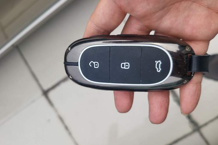 Used Li Auto L9 2022 Max model