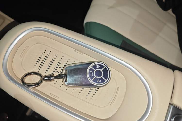 Used ORA Good Cat 2024 501 km Luxury Version Interior 1