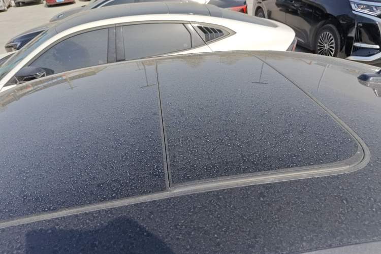 Used Volkswagen Magotan 2020 330TSI DSG Luxury Edition
