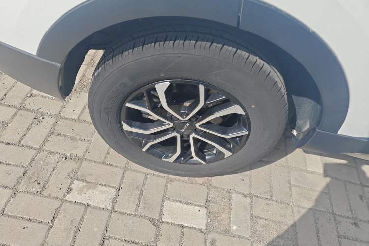 Used Haval H6 2021 National Trend Edition 1.5T Automatic Urban Version