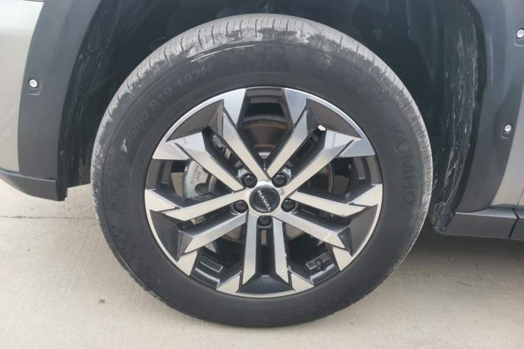 Used Haval H Dog 2023 2.0T Two-Wheel Drive Chaoye Version Plus
