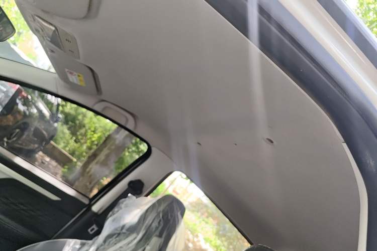 Used SOL E10X 2022 Flower Fairy Design Dandelion
