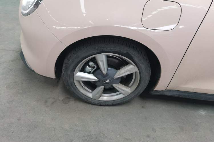 Used ORA Good Cat 2023 401 km Standard Range Prestige Version Lithium Iron Phosphate Left Front Wheel Hub