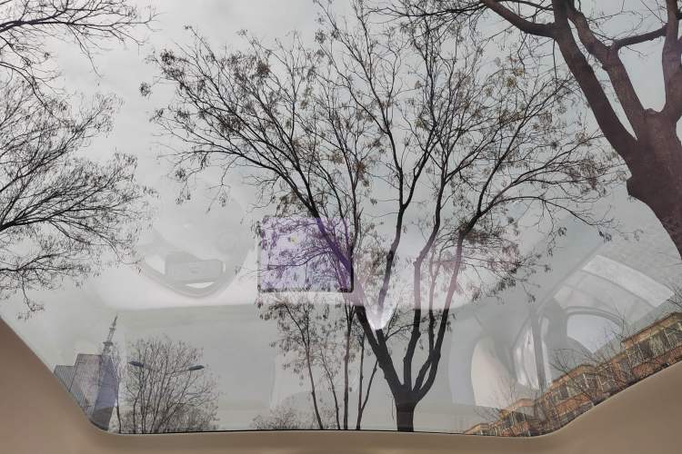 Used firefly firefly 2025 Illuminated Edition
