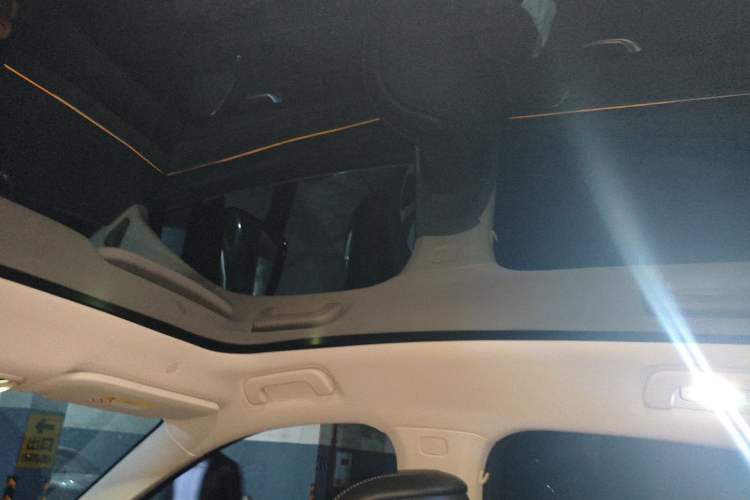 Used Hima AITO M5 2022 Extended-Range Four-Wheel Drive Performance Version Headliner