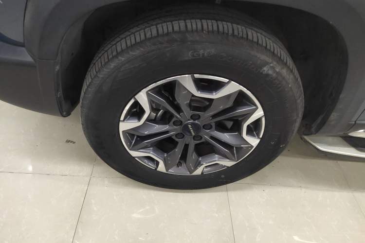 Used Haval DARGO 2021 2.0T DCT 4x4 Chinese Rural Dog Edition
